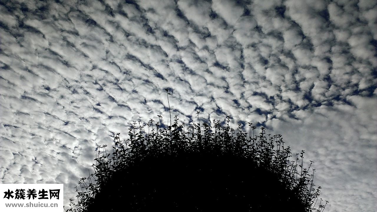 那英怎么減肥的