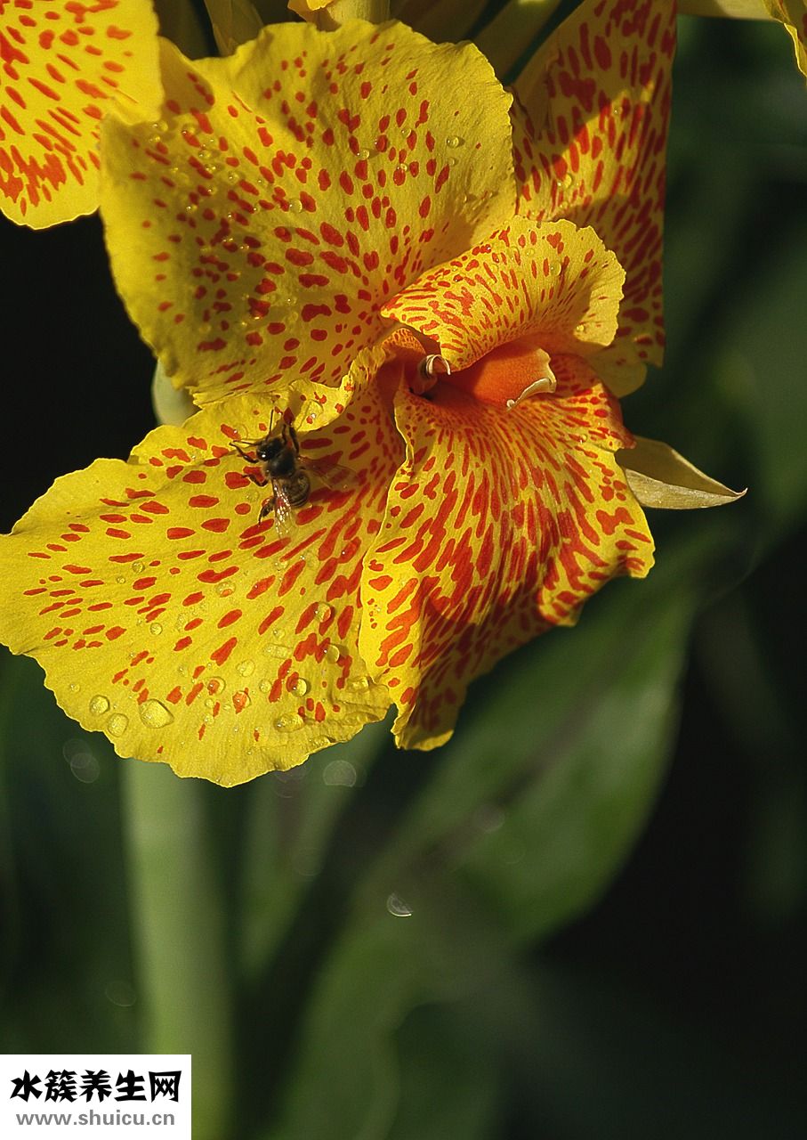 哺乳期怎么補鋅