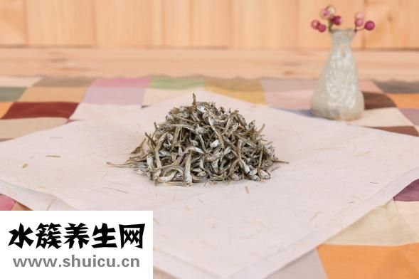 鳳尾魚下崽后怎么養(yǎng)