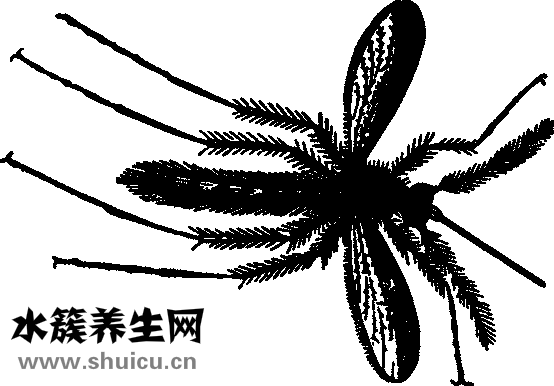 左手手心癢怎么回事