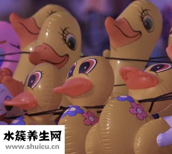 小鴨是怎么孵出來的