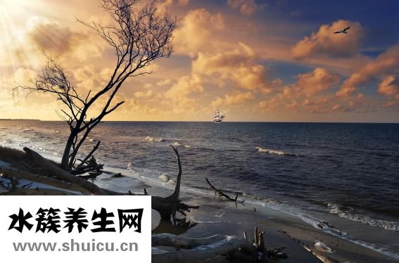 左太陽穴疼怎么辦