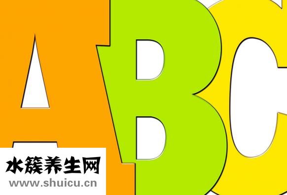 怎么可以上小學