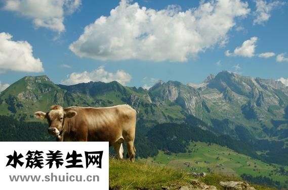 驅蟲一粒清怎么吃