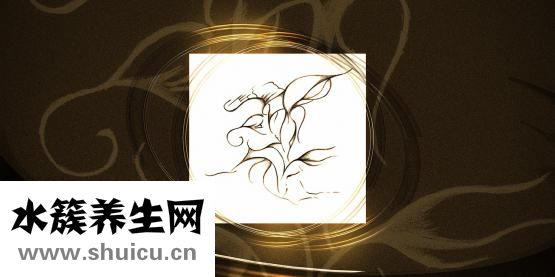 情侶套餐怎么辦理