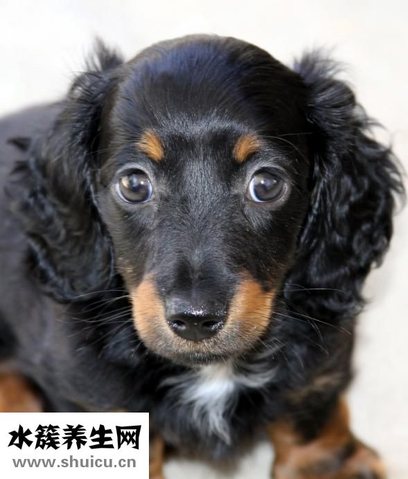 怎么才能永久性脫毛