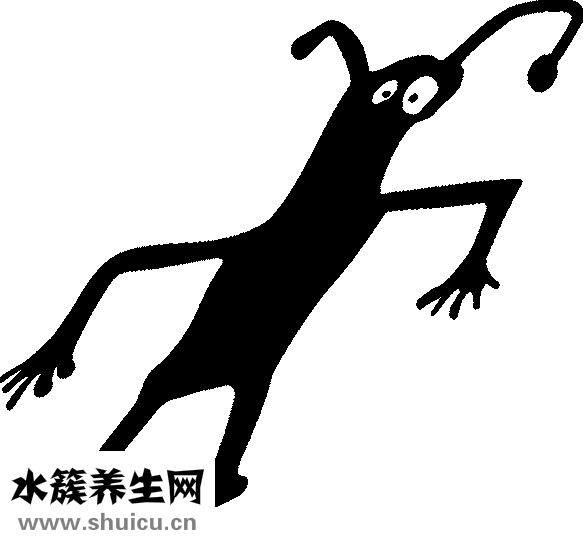 皮包泡水了怎么辦