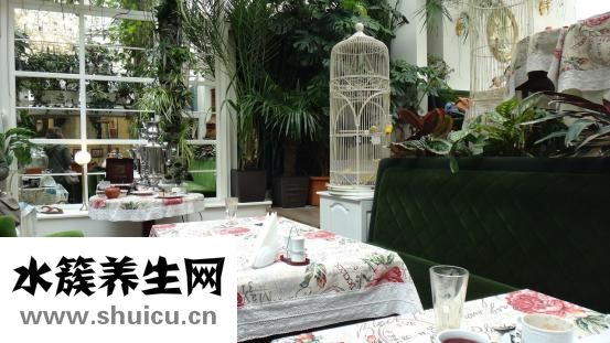 兒童蹬被子怎么辦