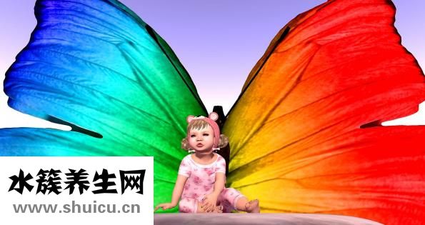 奶粉配方怎么看