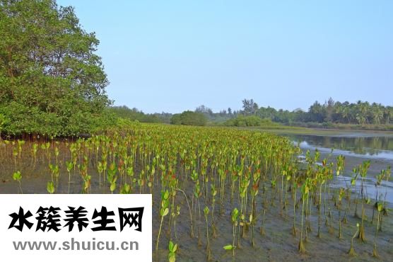 手部皮膚干燥怎么辦