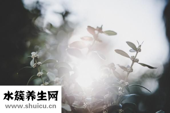 陽年和陰年怎么看