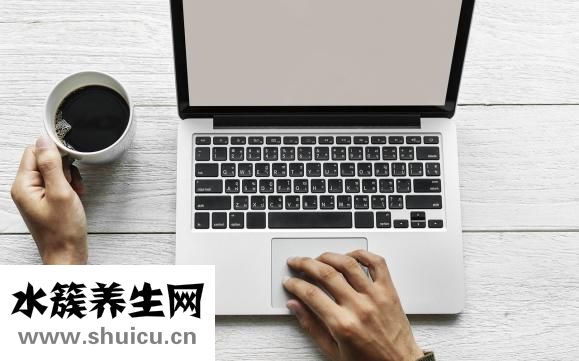 狗怎么檢查弓形蟲