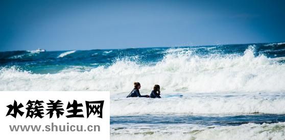 給貓咬了怎么辦