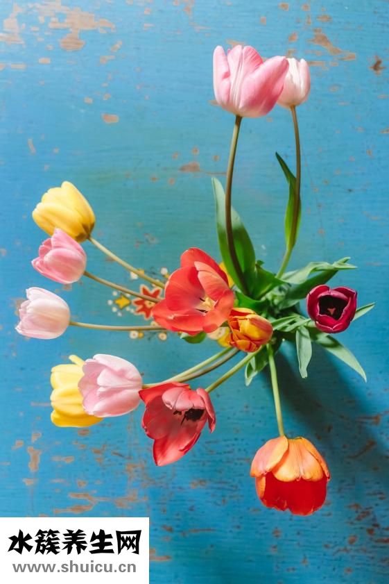 母狗奶水太多怎么辦