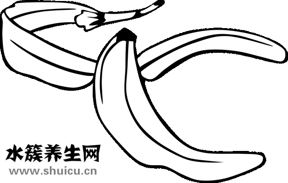 怎么讓金絲熊石化