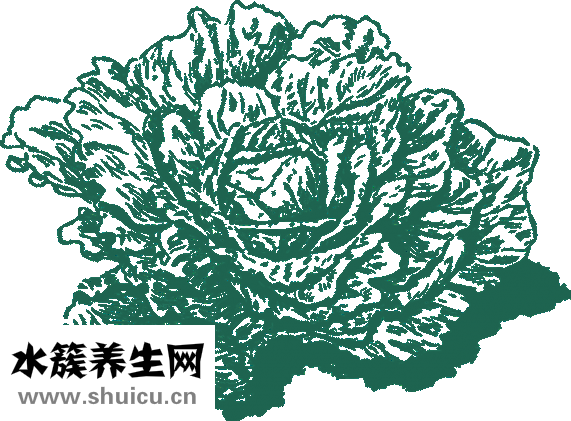 蛋清蝦仁怎么做