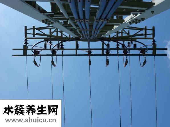 法壓壺怎么泡茶