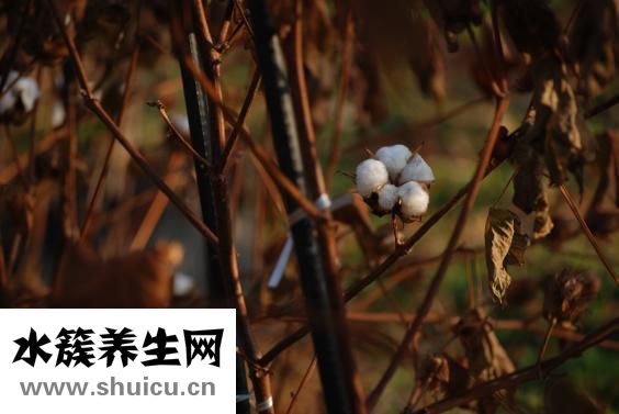 睫毛膏卸不掉怎么辦