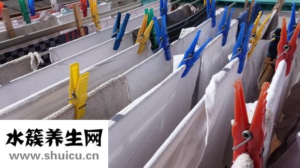 牛蒼蠅叮咬怎么處理