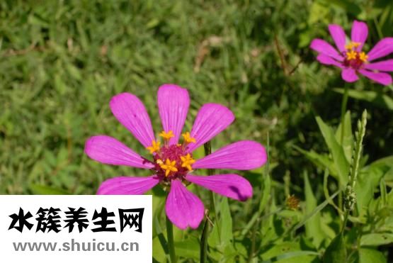 清潔度日語(yǔ)怎么說(shuō)