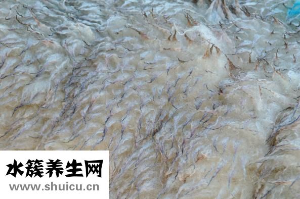 無印良品浴鹽怎么用