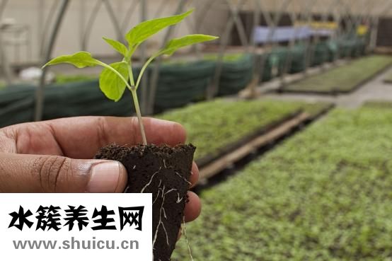 怎么看血氣分析