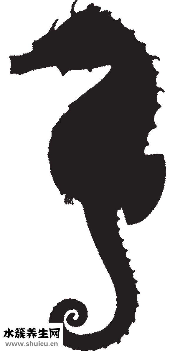 陽年和陰年怎么看