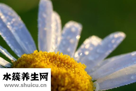 冬天腳癢怎么治