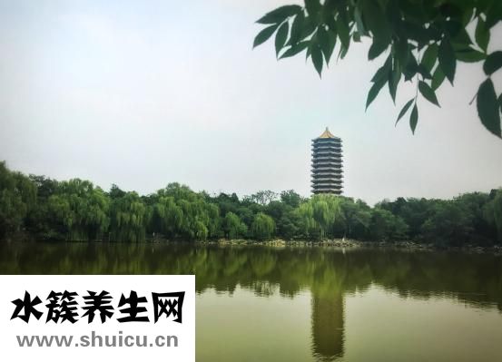 兒童不聽話怎么辦