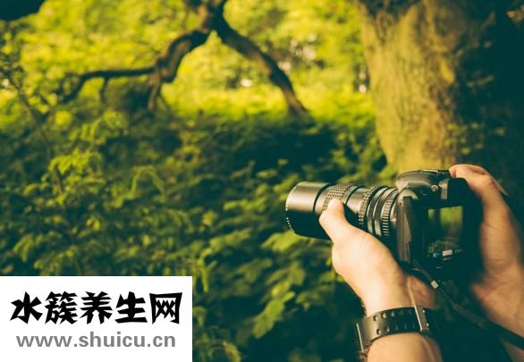 左手顫抖是怎么回事