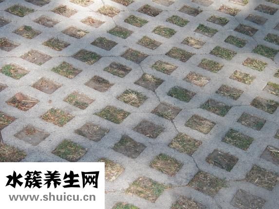 怎么壓腿讓腿變長