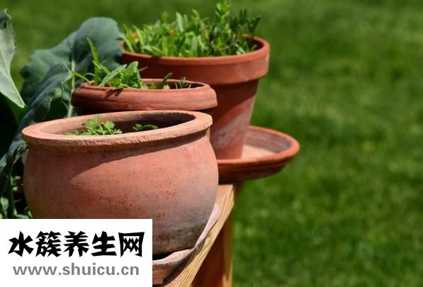 花盆裂了怎么辦