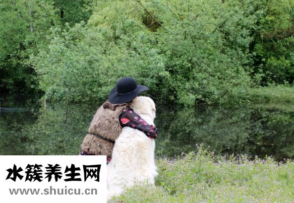 包皮腫了應(yīng)該怎么辦