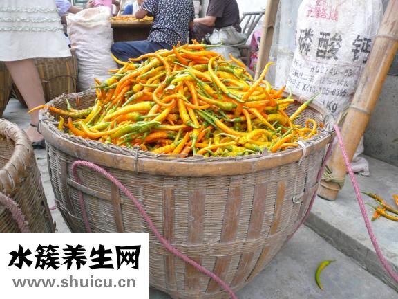 西紅柿醬怎么做