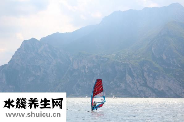 怎么訓(xùn)練狗狗提籃子