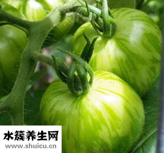 牛肉怎么熬湯好喝