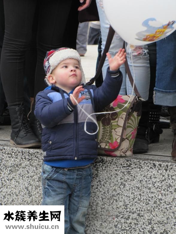 狗狗便便怎么看