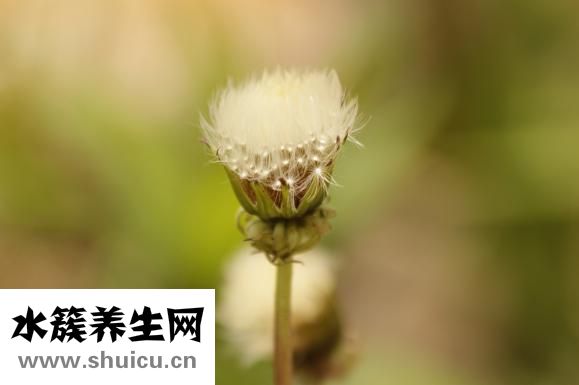 羊胎盤不掉怎么辦