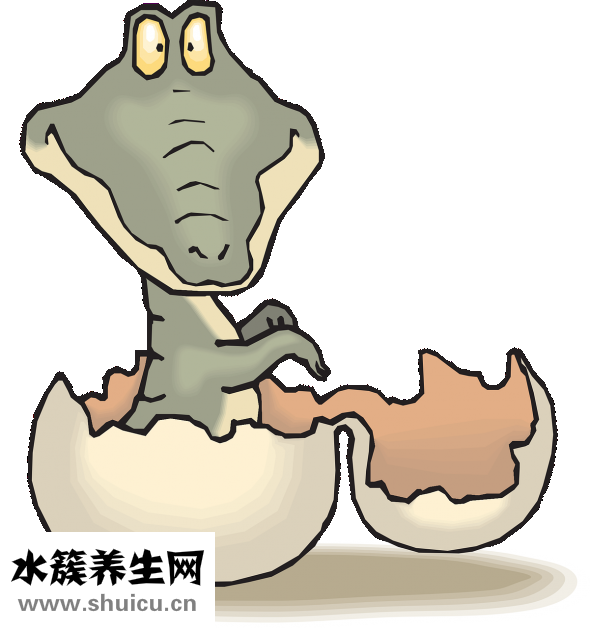 怎么給嬰兒洗手