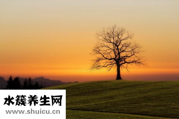 脅下痛該怎么辦