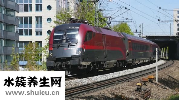 聚會相片木馬怎么殺