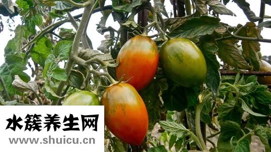 面色晦暗怎么辦