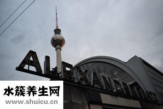 小羊怎么畫兒童