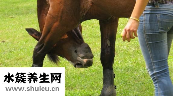 輕癱試驗怎么做