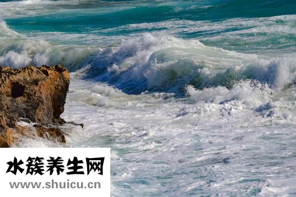 感冒想吐怎么回事