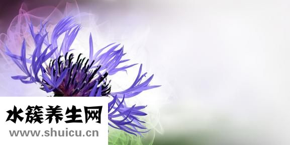 奶結了發燒怎么辦