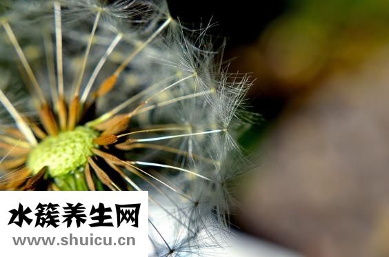 羊胎盤不掉怎么辦