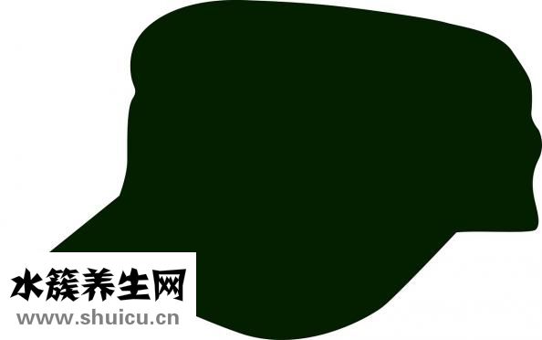 肺子不好怎么調理