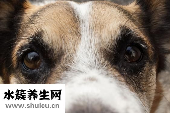 上夜班眼睛疼怎么辦