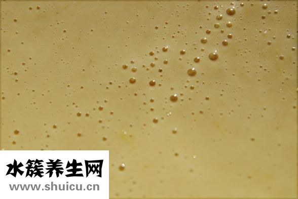 三華李怎么弄好吃